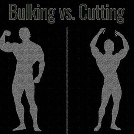 bulking-steroids-vs-cutting-steroids-400×377-1