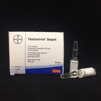 bayer-testosterone-enanthate-250mg.webp