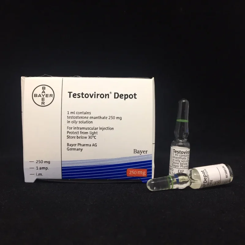 bayer-testosterone-enanthate-250mg.webp
