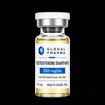 GLOBAL PHARMA – TESTOSTERONE ENANTHATE 250MG